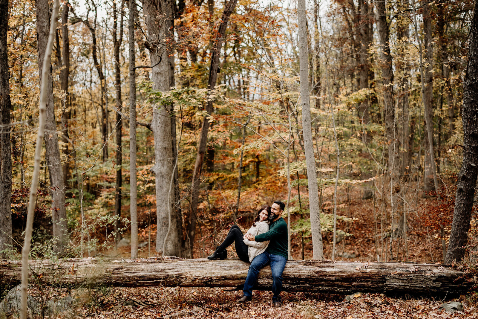 engaged couple fall woods