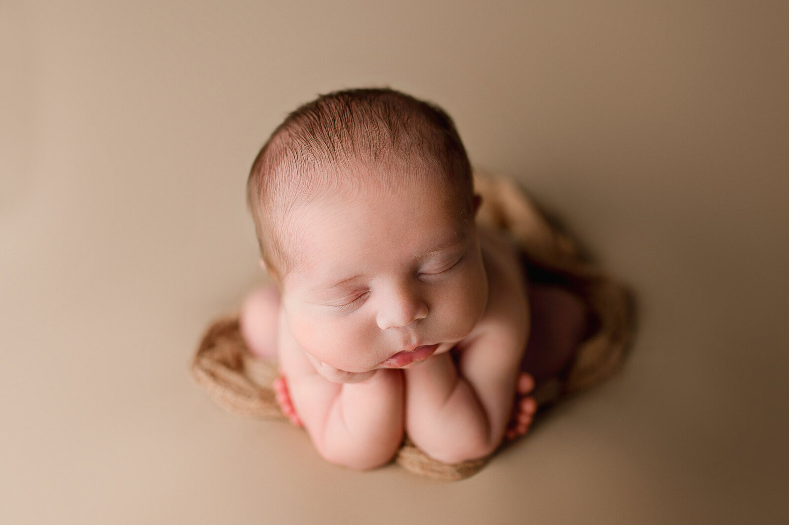 Newborn Studio Session Swanton Ohio
