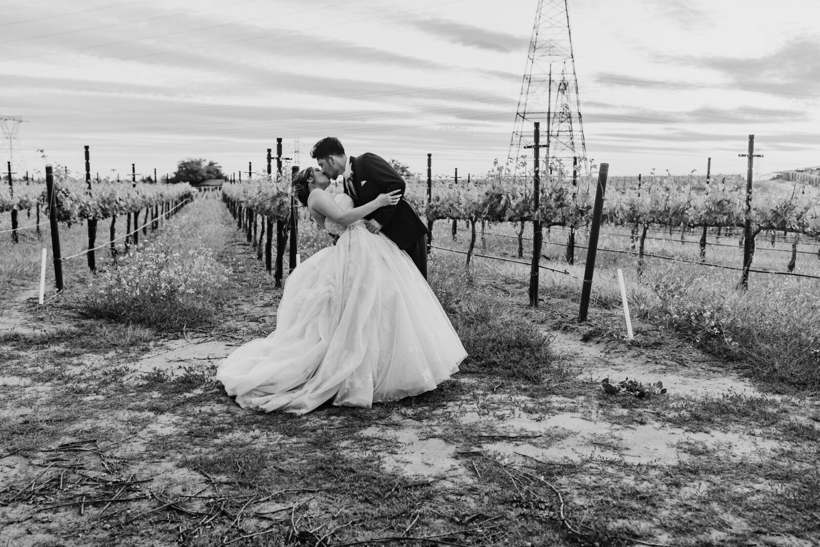 sacramento wedding photographer captures groom dipping his bride back for a wedding portrait at a vineyard wedding venue for their Bay Area wedding