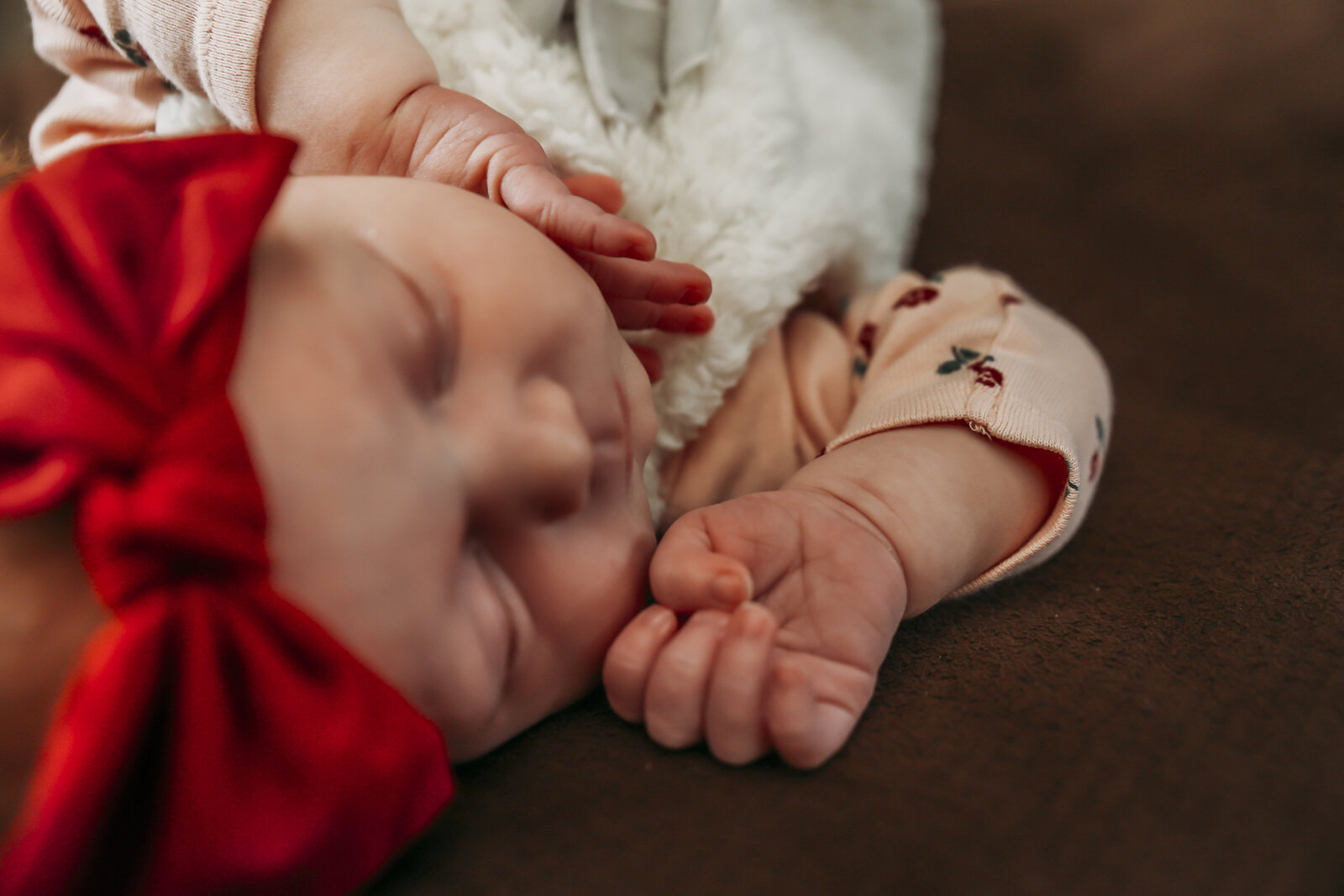 Newborn Photos BRANCHPORT NY