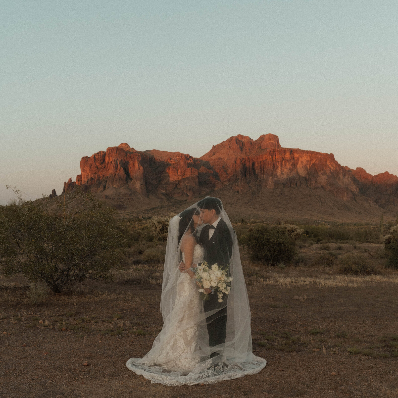 TheCarmonasWeddingAZ-1057