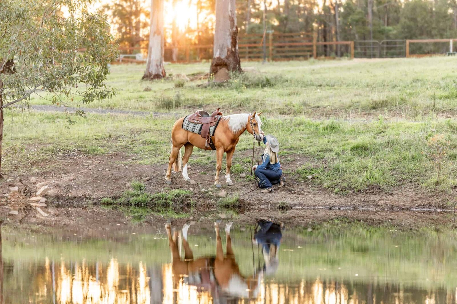10. Penrith Equine Photographer girl pats palomino horse at sunset Half Steps Photography