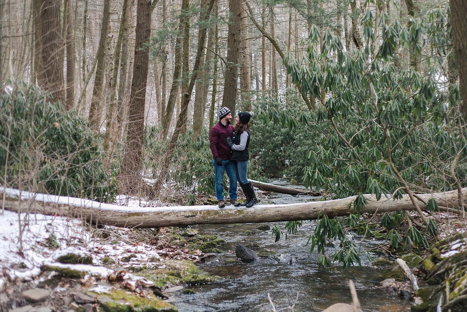 Rothrock-State-Forest-PA-Engagement_0013