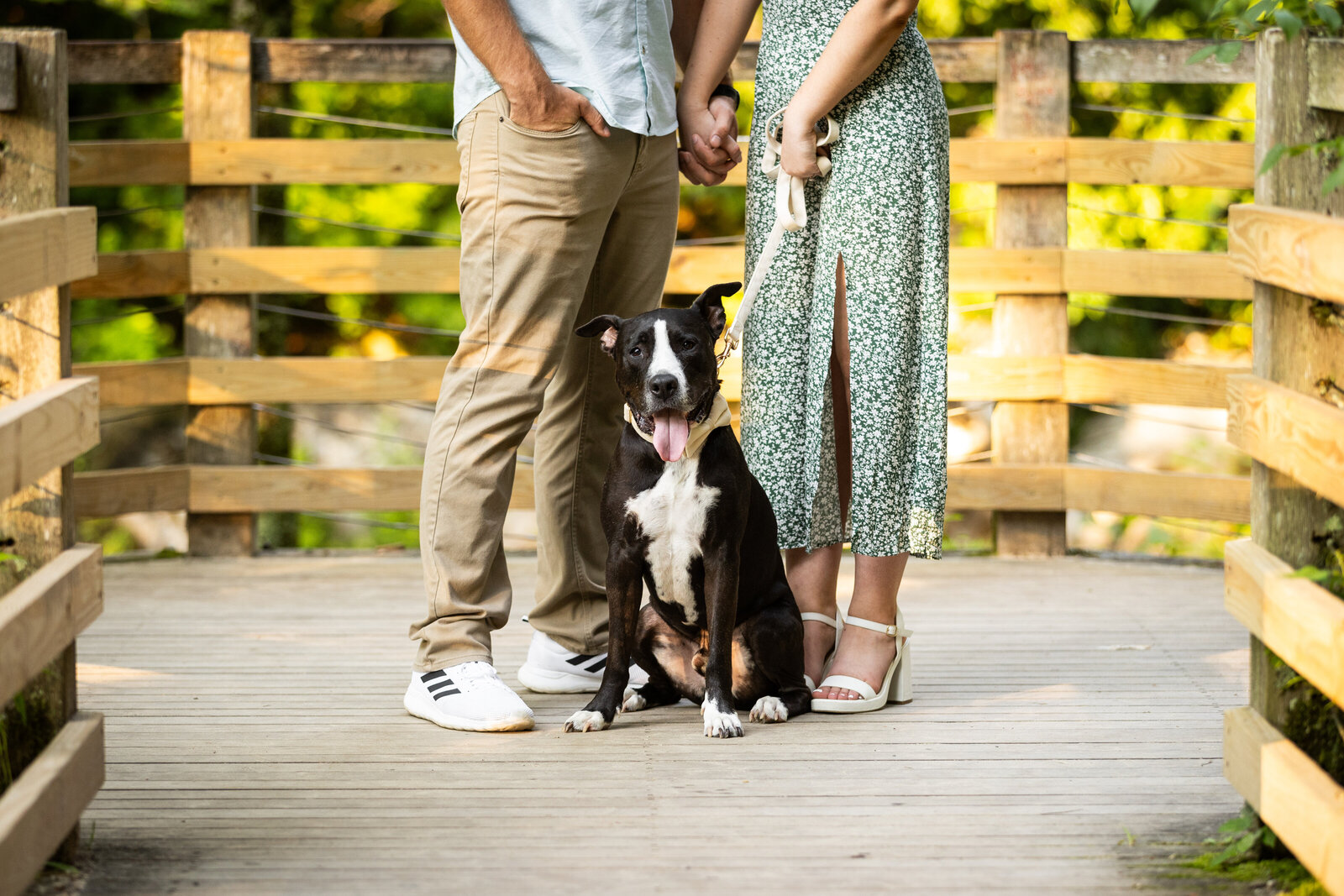 love, ctphotographer, alyssa michel photographer, ct, love, engagement session, photographer, wedding photographer, kent falls, dog love
