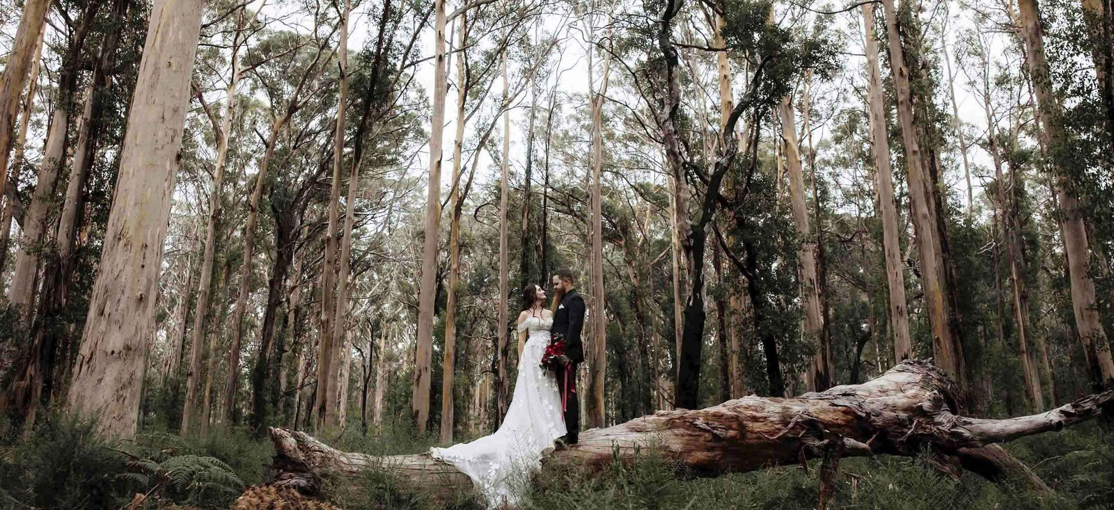 BoranupForest.WesternAustralia2
