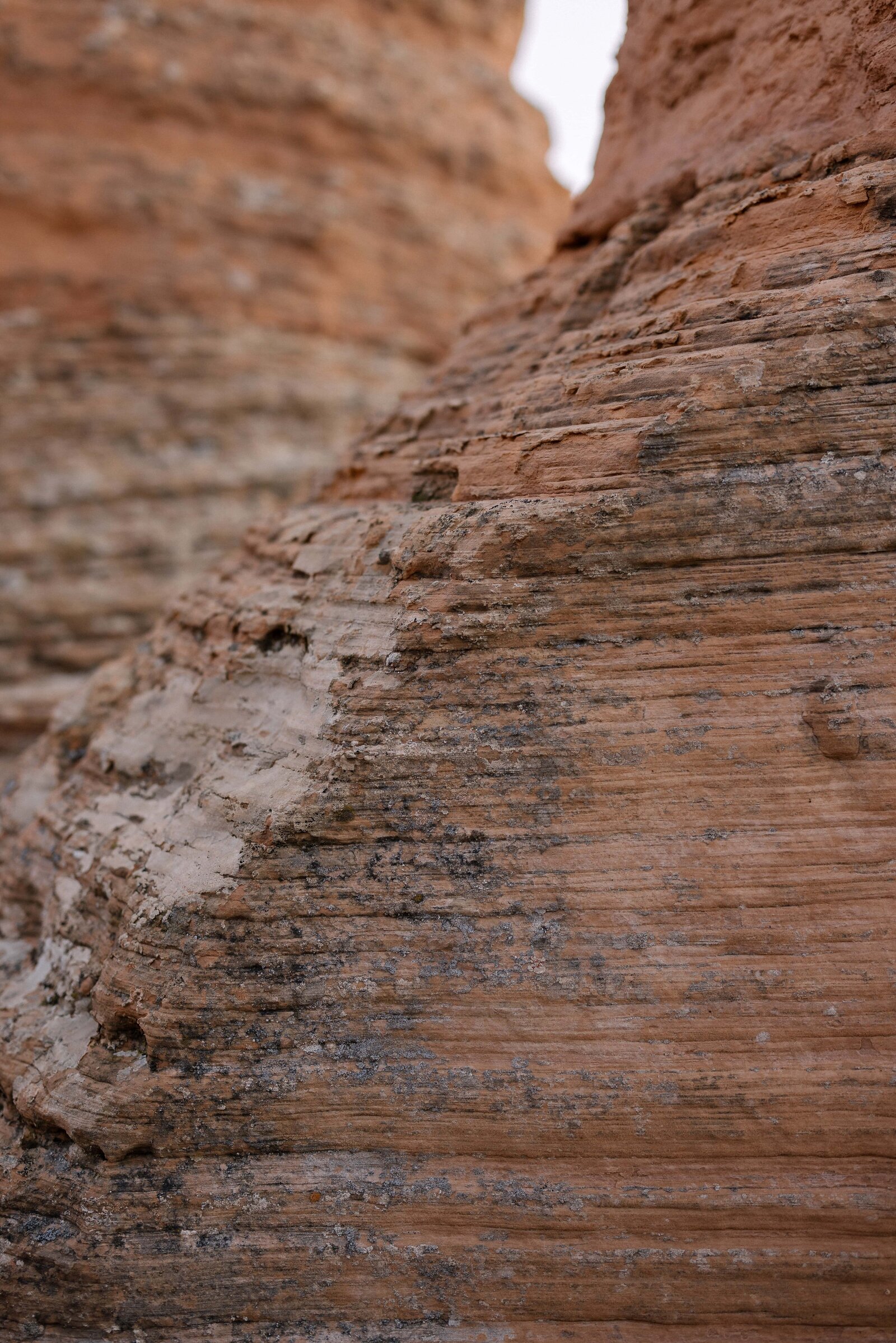 desert textures at Wyoming engagement session