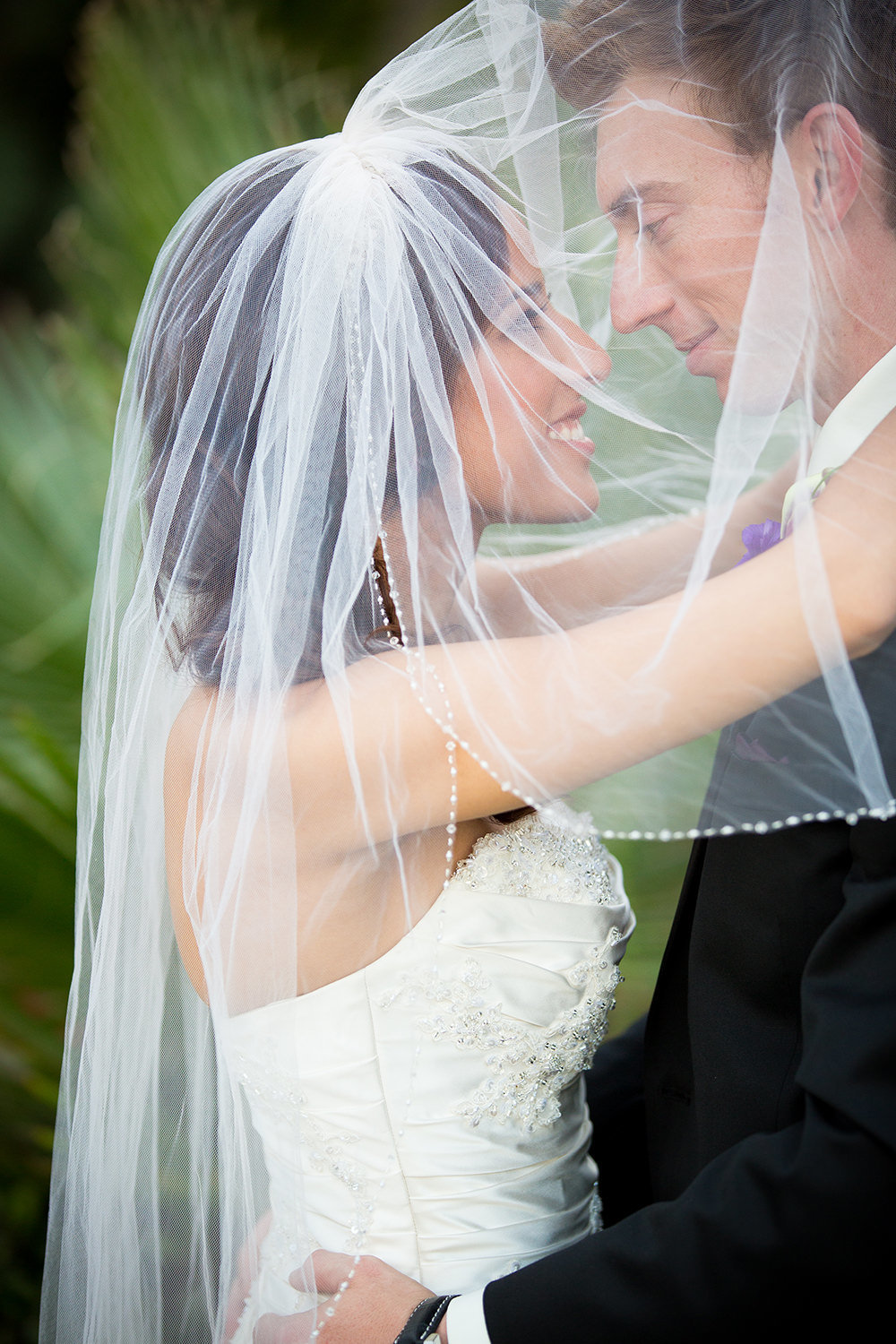 couple under the brides veil
