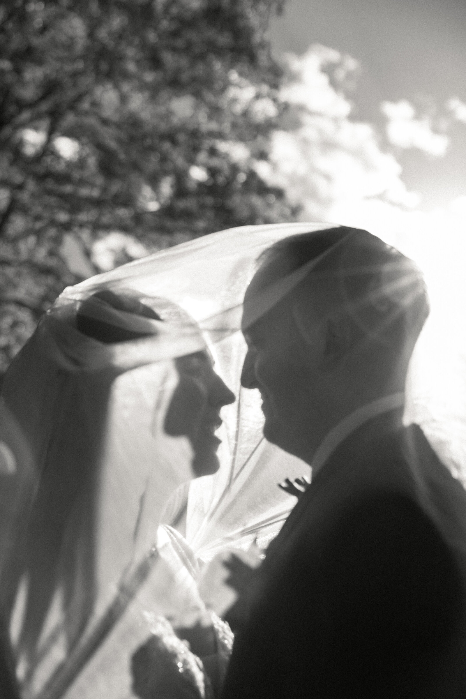 AbbyDutraPhotography_L&RWedding_Sneaks-34