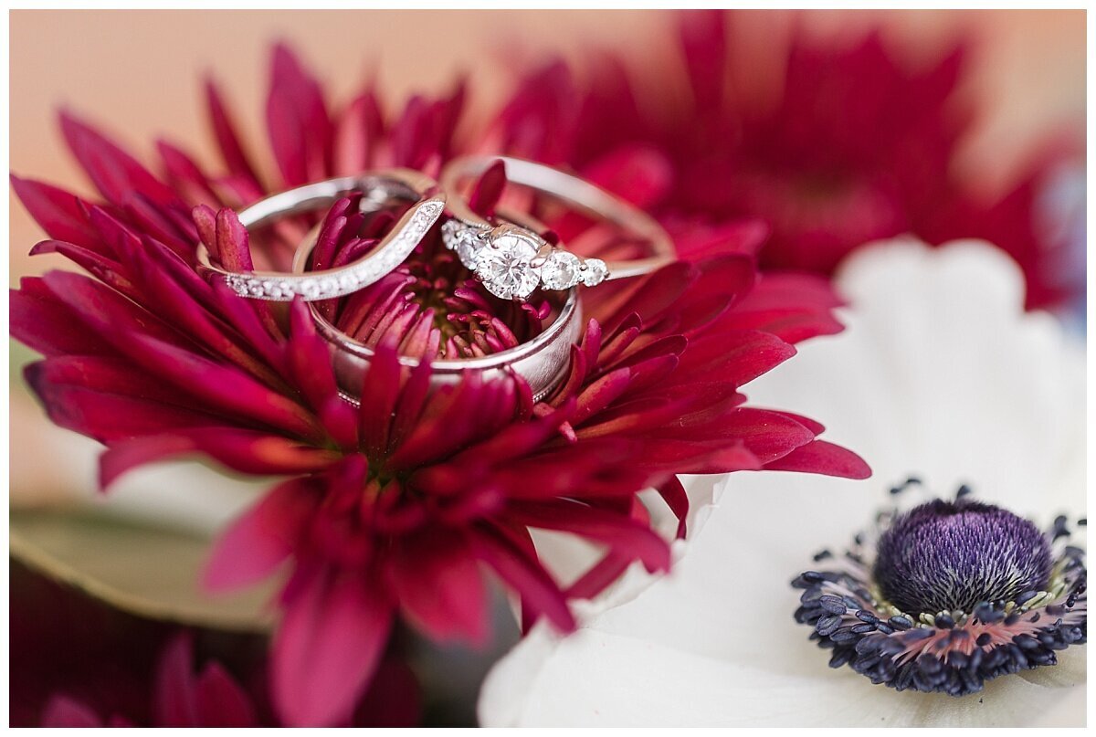 Magical Winter Wedding photo by Simply Seeking Photography_1181