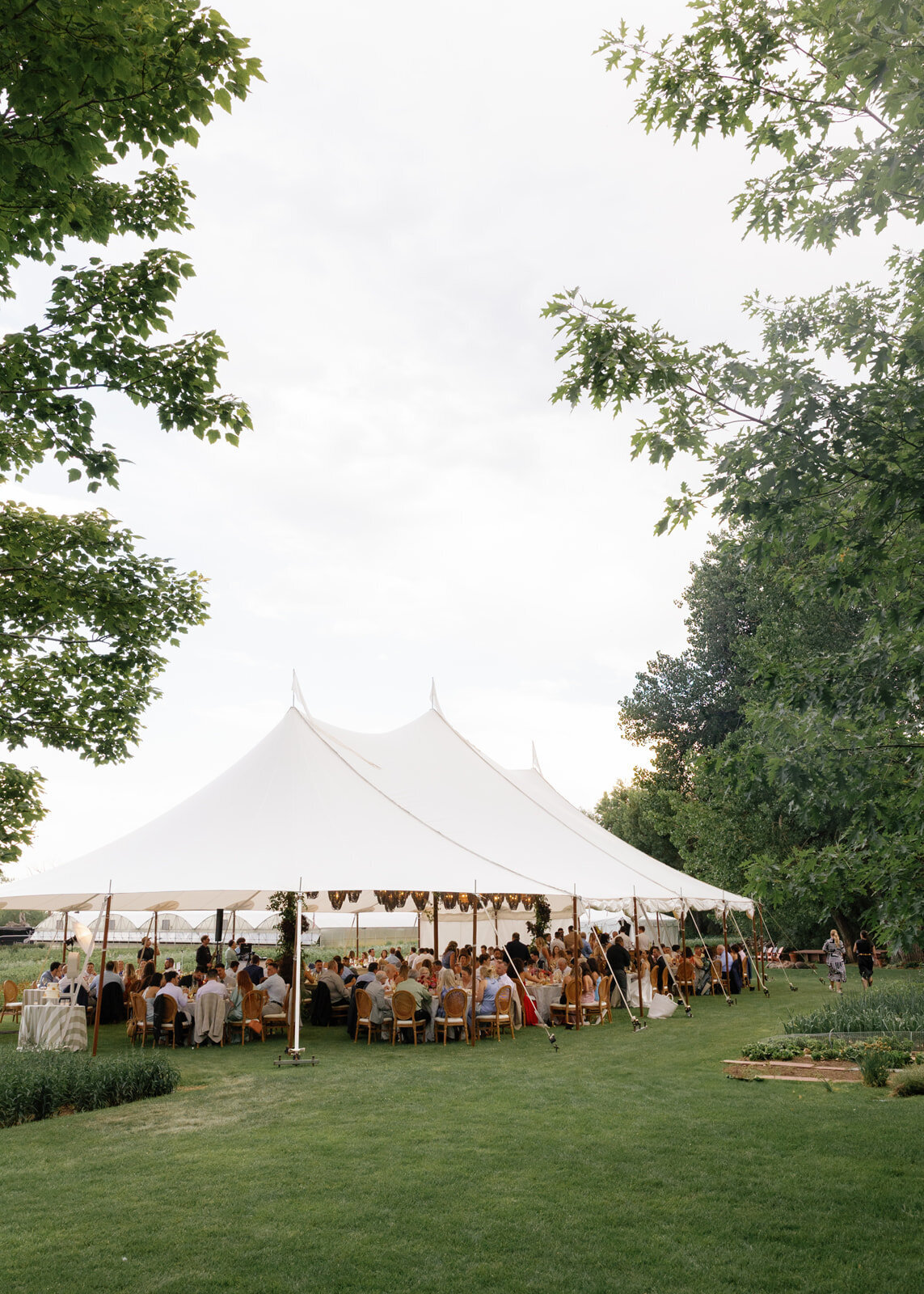 6.28-Amanda-Dominic-Boulder-Flower-Farm-Wedding-604