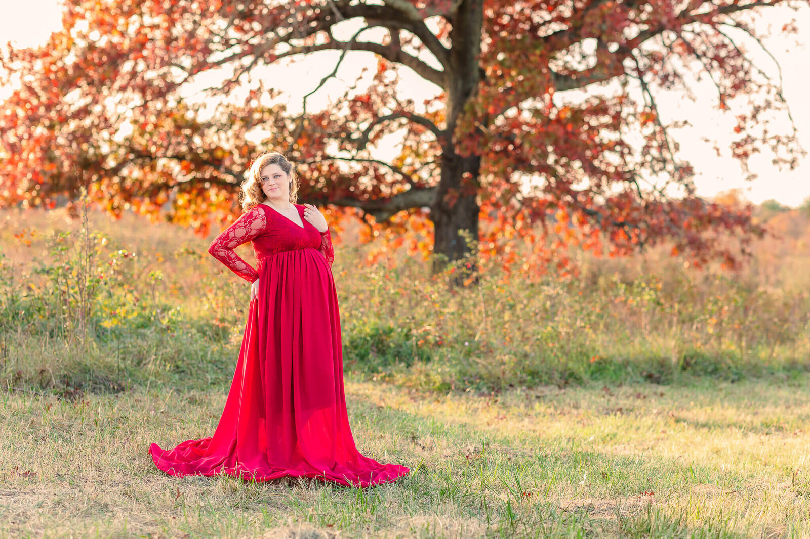 A mother-to-be in a red dress posing in front of a beautiful orange tree in Lorton.
