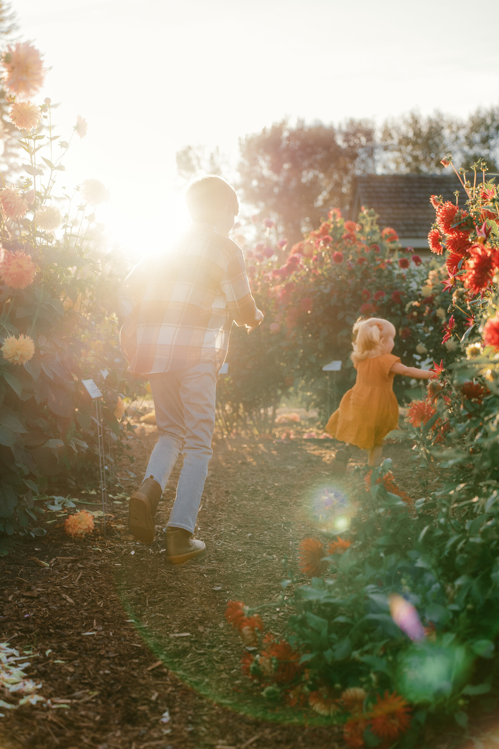 Bellingham Family Photography-503