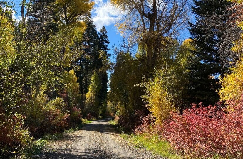 fall color colorado