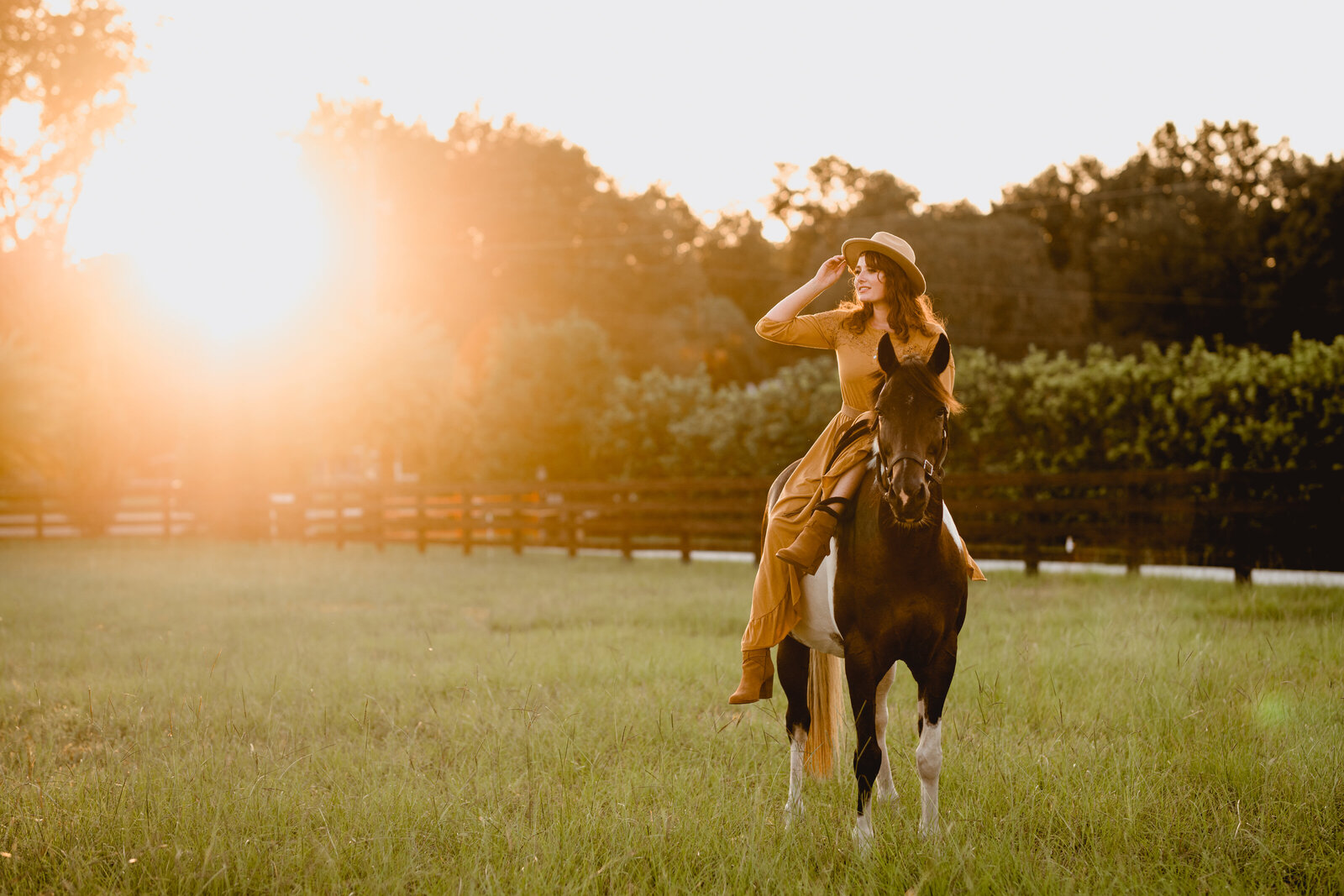 Ocala horse and rider photographer takes photos at farm at sunset.