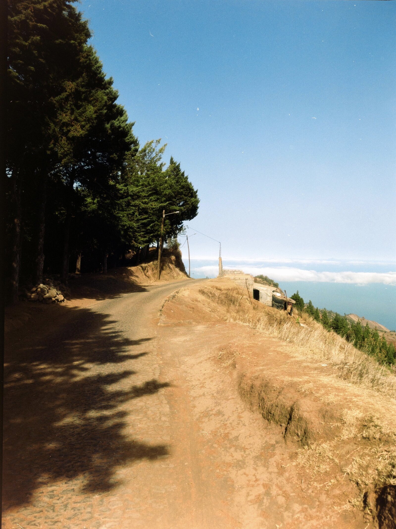 f13c3c54-3e25-4646-bce6-ef8c74349e33