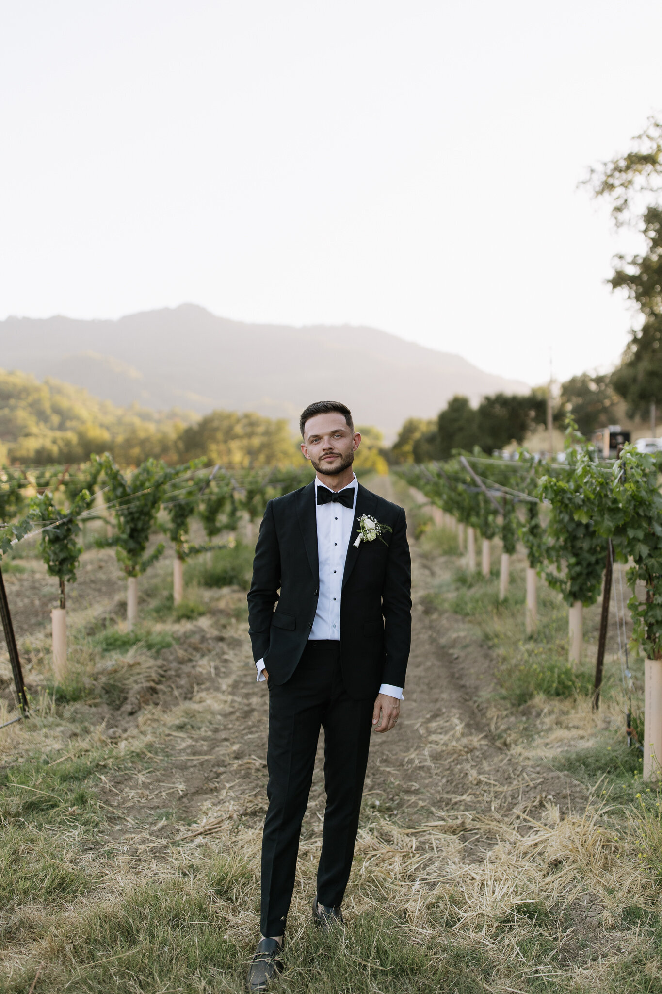 Groom poses for portraits with vineyard back drop in Ukiah, California
