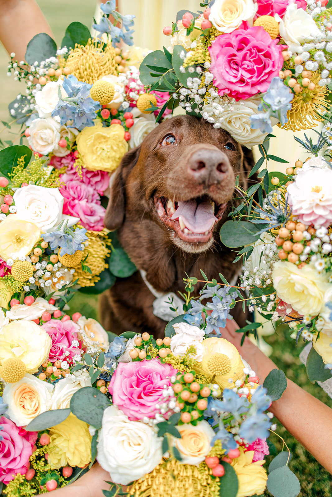 gruene estate wedding photos by allison jeffers-770