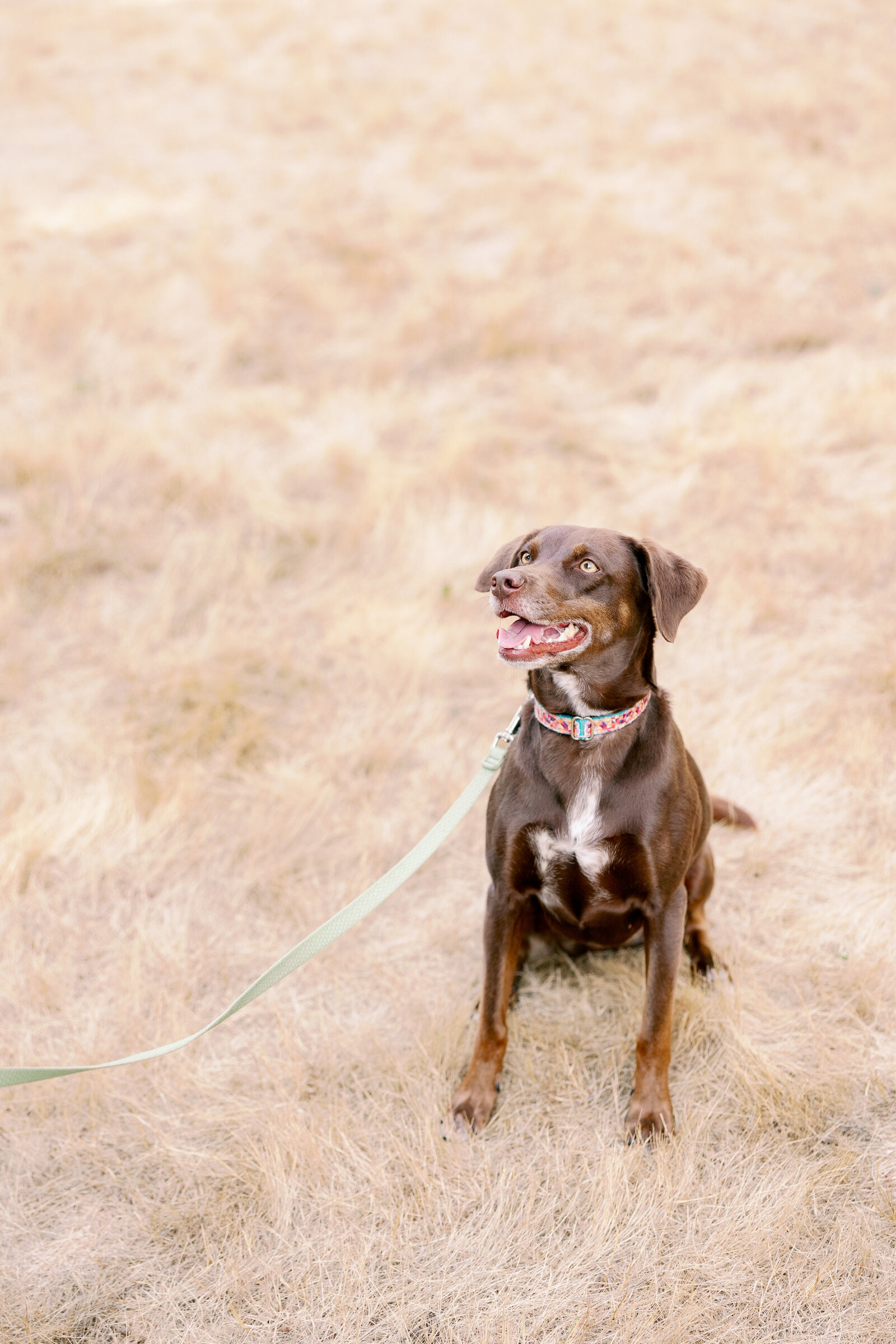 Seattle_family_photographer-Cameron-Zegers-Photography-243