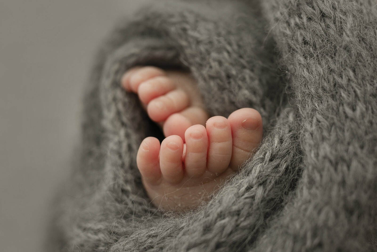 newborn family photographer louisville kentucky
