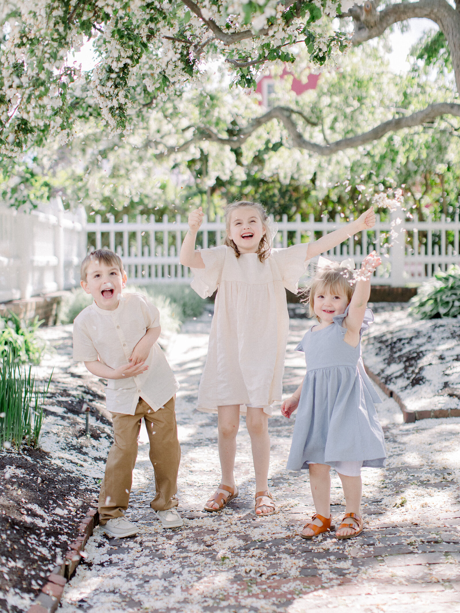 Three siblings laughing and tossing flower petals into the air in a spring garden with flowering cherry trees by NH newborn photographer Fieldstone, Studio.