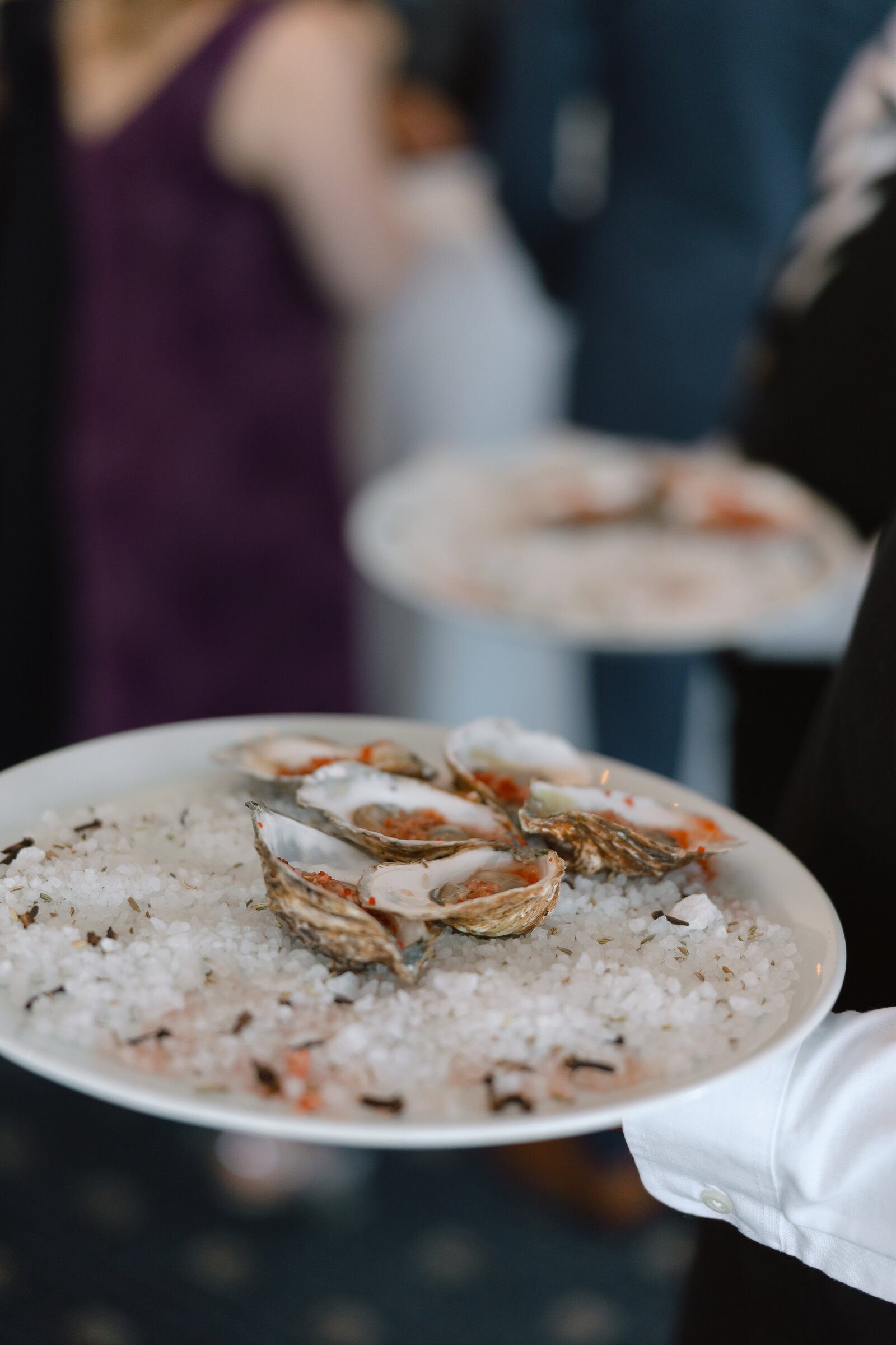 Alex-McCrary-Photography-Max-Kate-Klein-Family-Cedar-Falls-Iowa-12
