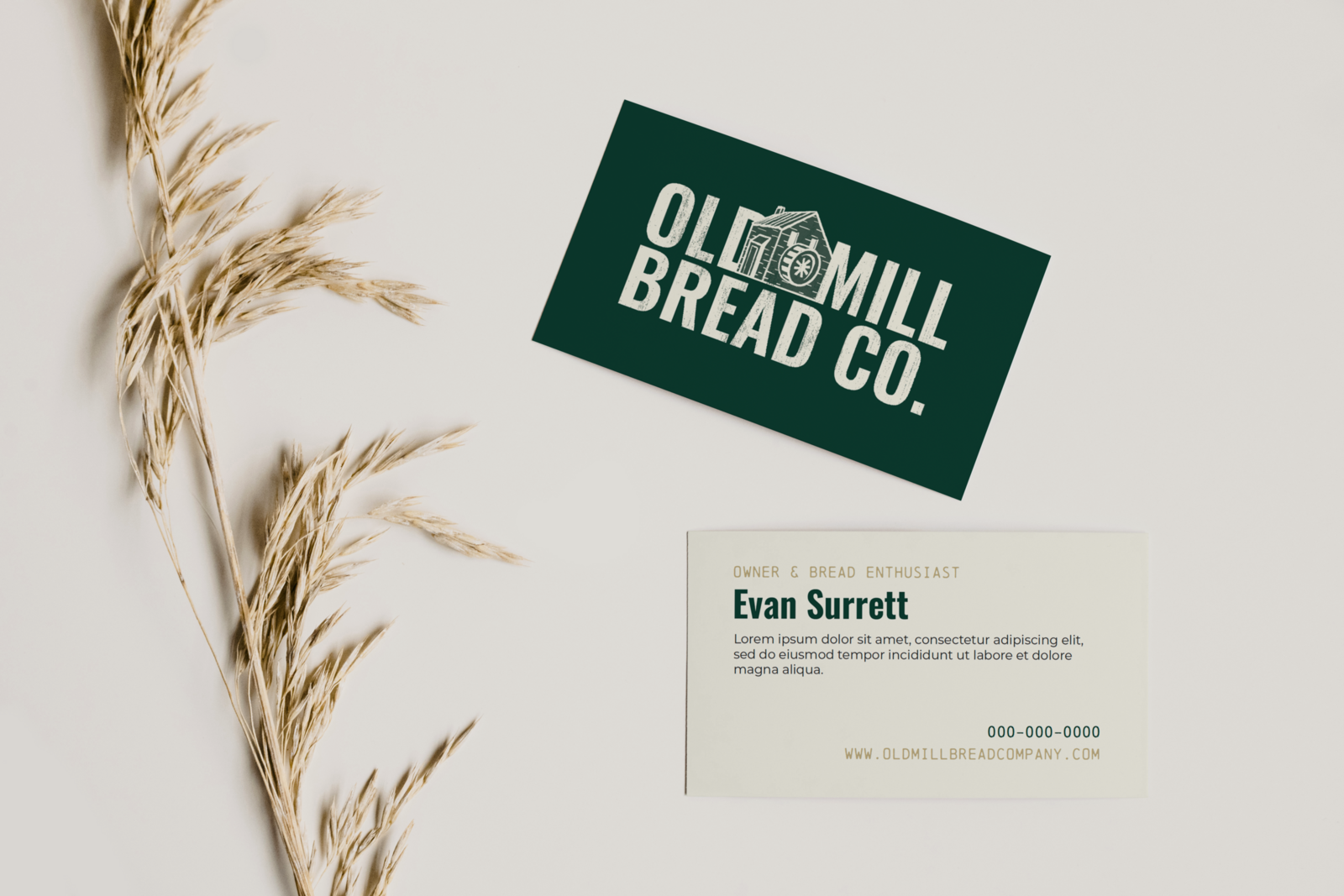 Liberty Type Branding and Website Design Agency Knoxville, Tennessee Therapist Brand Therapist Branding Chiropractor Brand Chiropractor Branding Doctor Brand Doctor Branding Nutritionist Brand Nutritionist Branding Interior Designer42