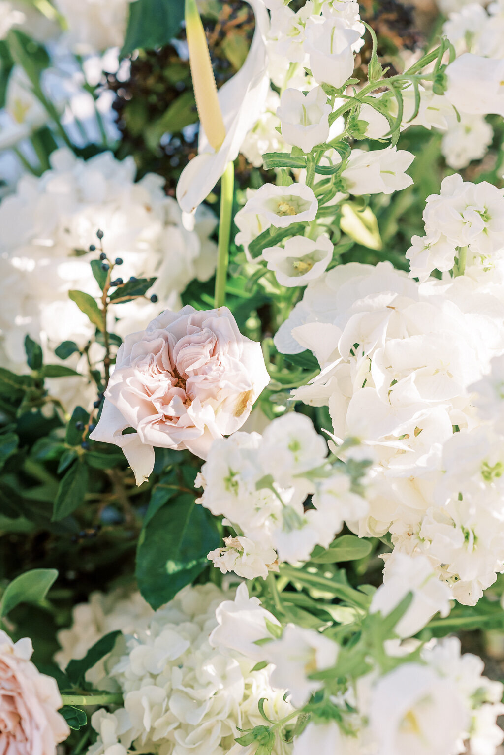 Wedding Photographer Anna Lundgren - helloalora_Villa Pizzo_017_websize