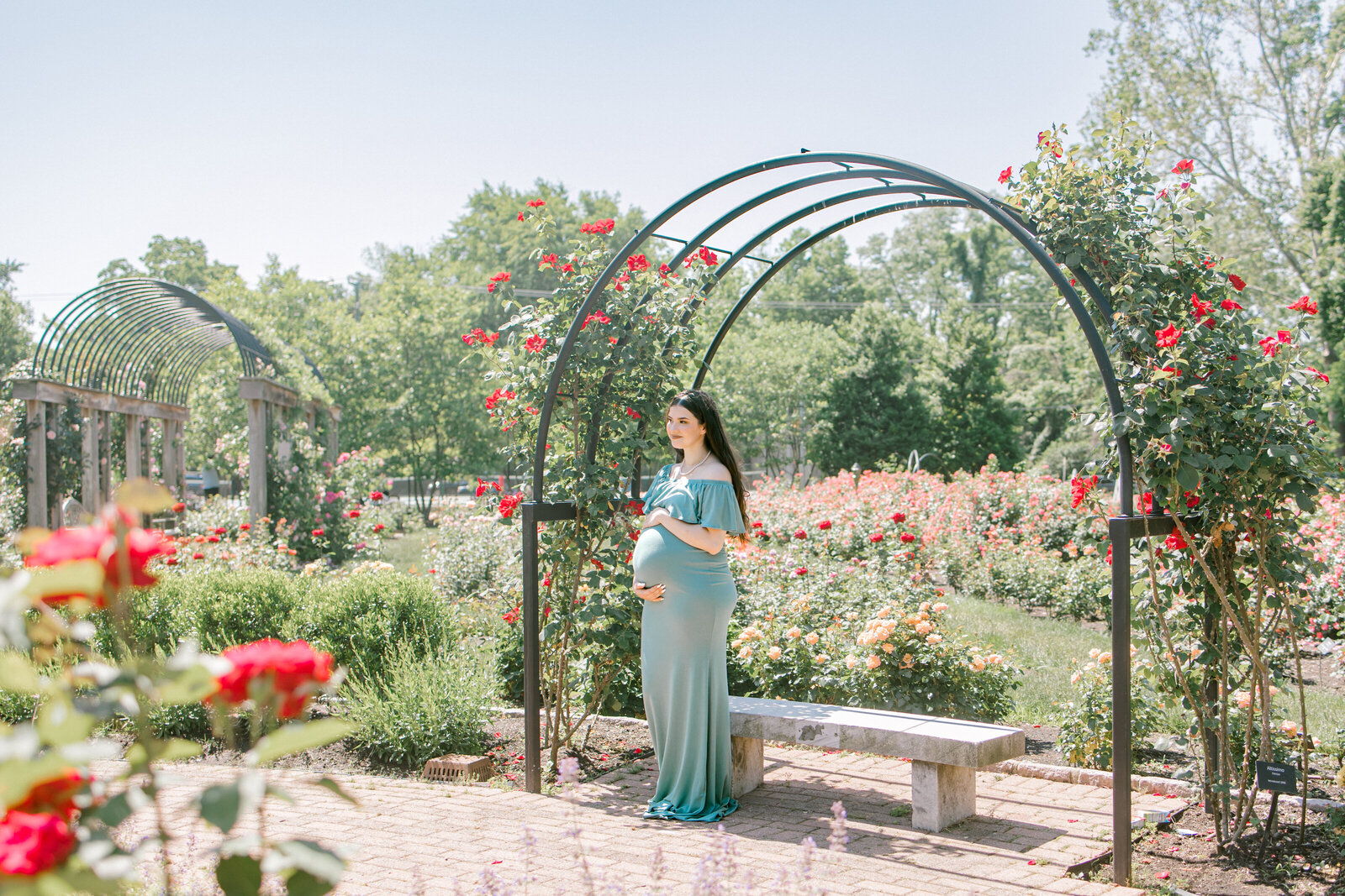 Pregnant woman in rose garden