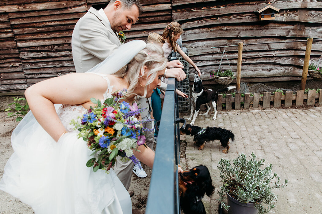 dogsatweddings, trouwenmetkinderen, trouweninbrabant, trouwfotograafettenleur, zundert, rijsbergen, rucphen, trouwfotoinspo, halderberge, trouweninderegen, roosendaal
