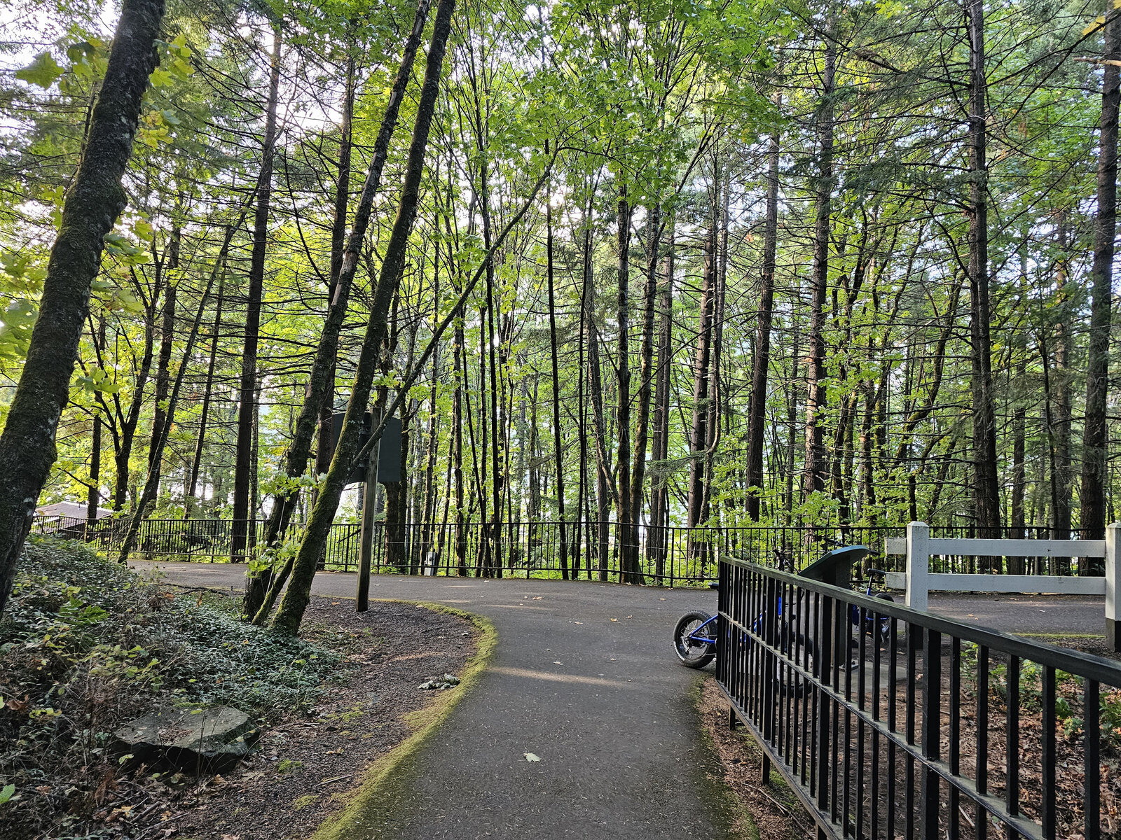 Immerse yourself in the scenic beauty of Viento State Park Cascade Locks while biking among the trees with The Gorge E-Bike Adventure Rentals