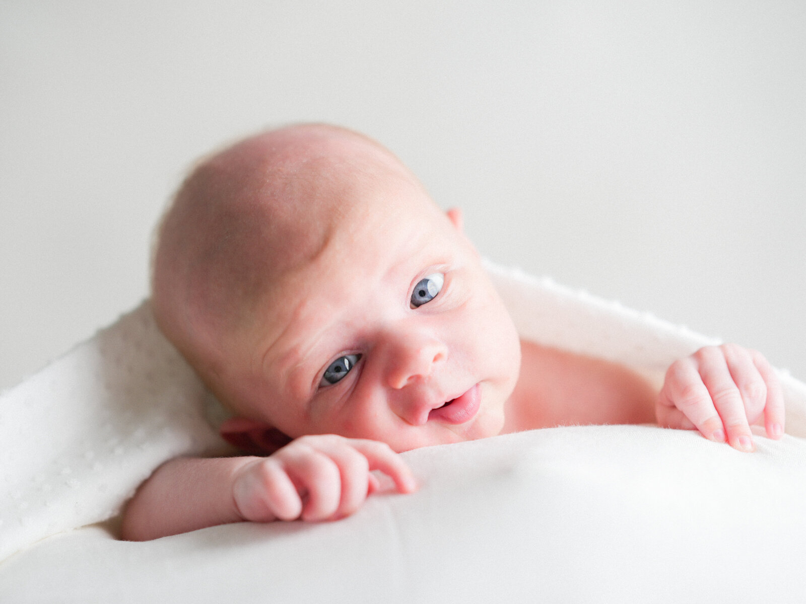 a color photo of a newborn baby looking into the camera with blanket on baby