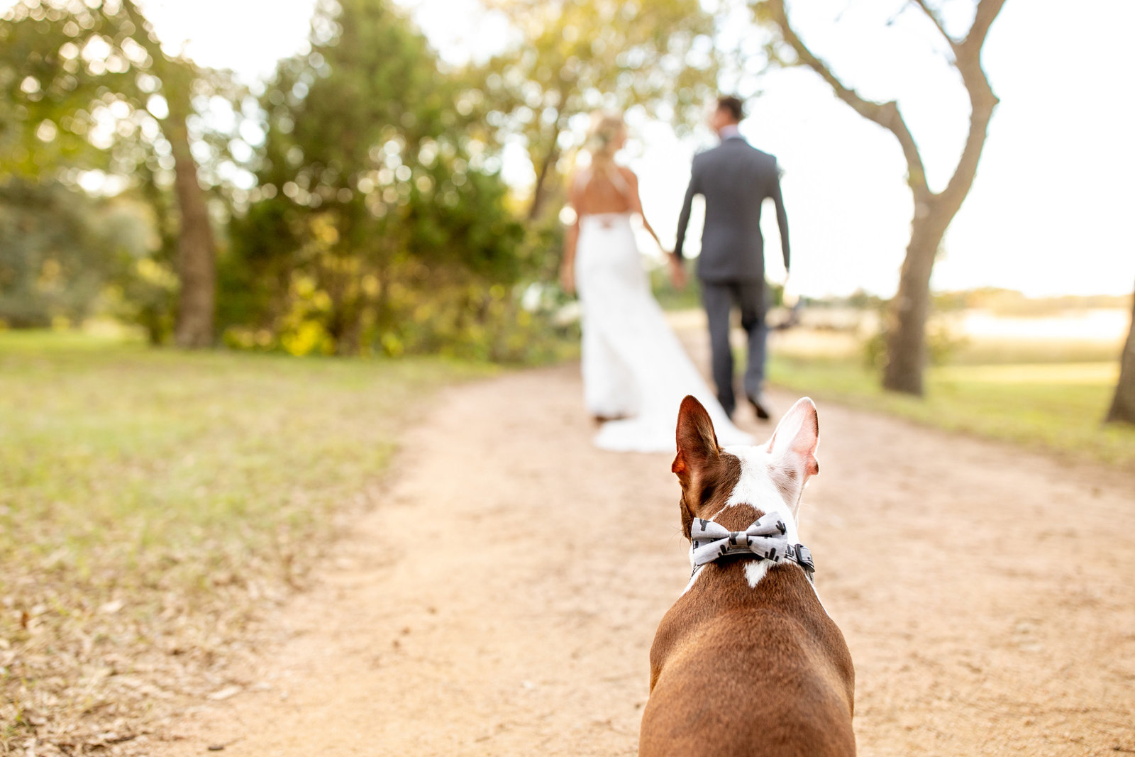 Broussard Wedding-479