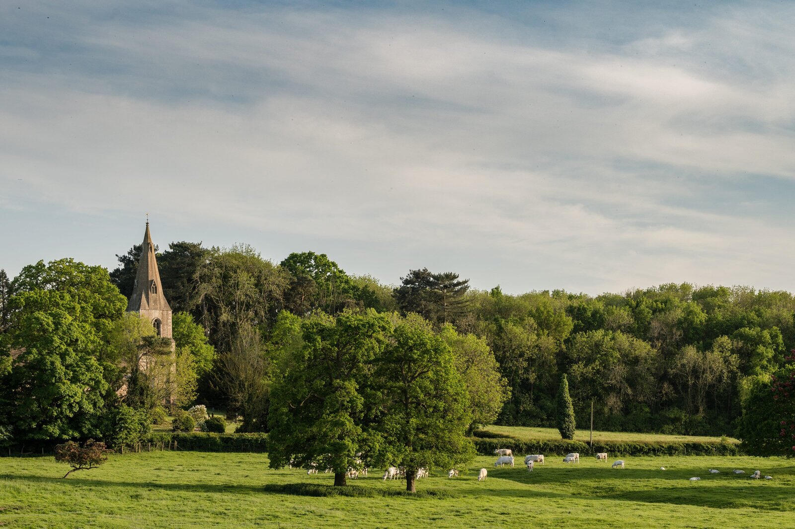 Kelmarsh-Hall-wedding-photos-1033