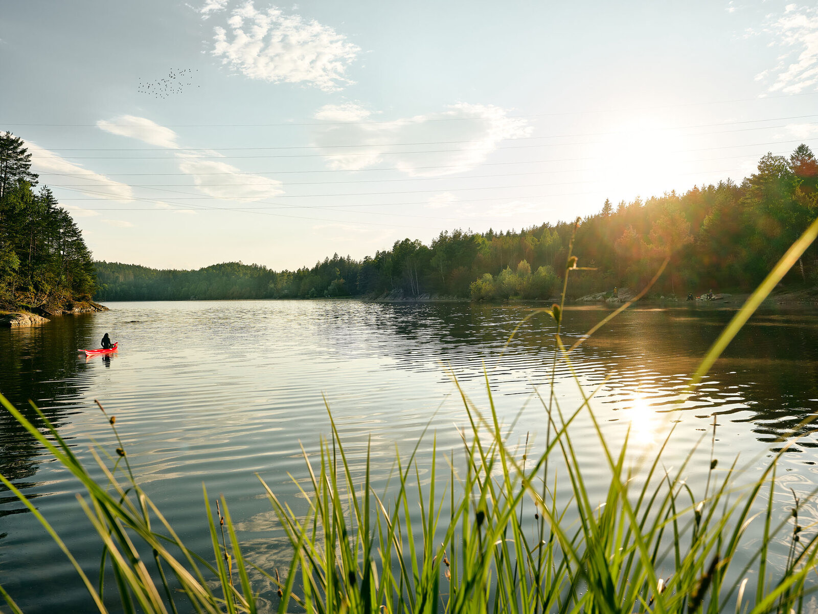 fotomontage-tourismus-forstsee-sommer-atelier schulte