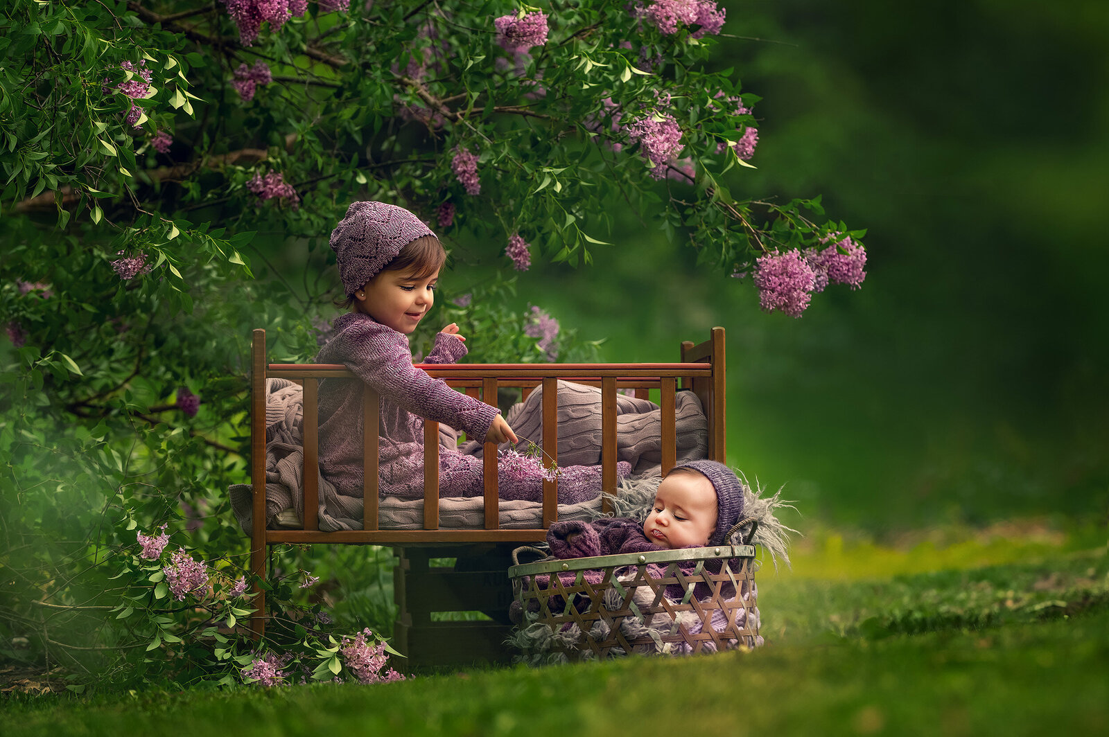 Two little girls, both dressed in purple, are seated outdoors underneath a lilac tree.