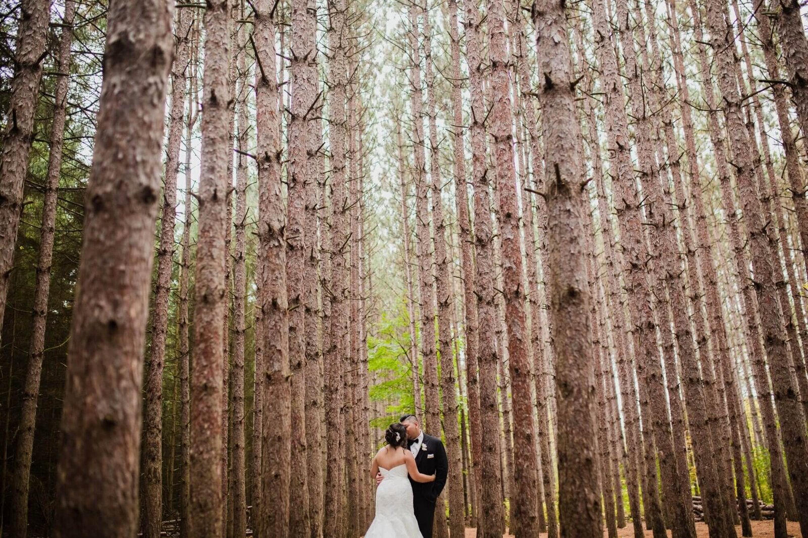 160 Outdoor Toronto Wedding Venues