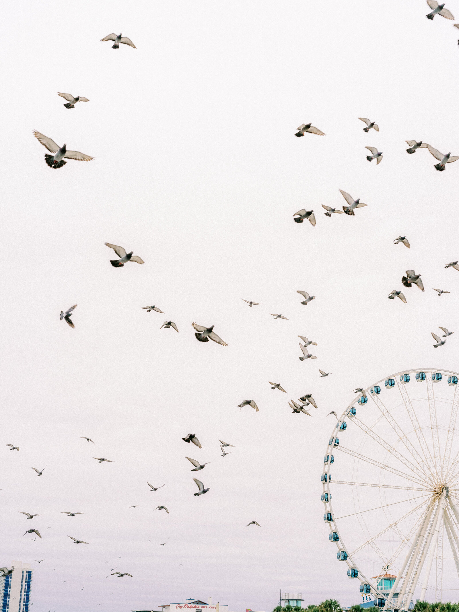 rachaelosborn.com-Lesley-MB-40