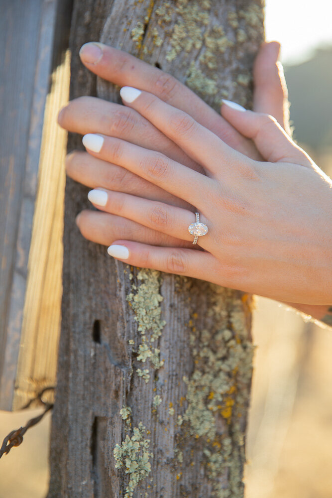 TerraRyanEngagment-122