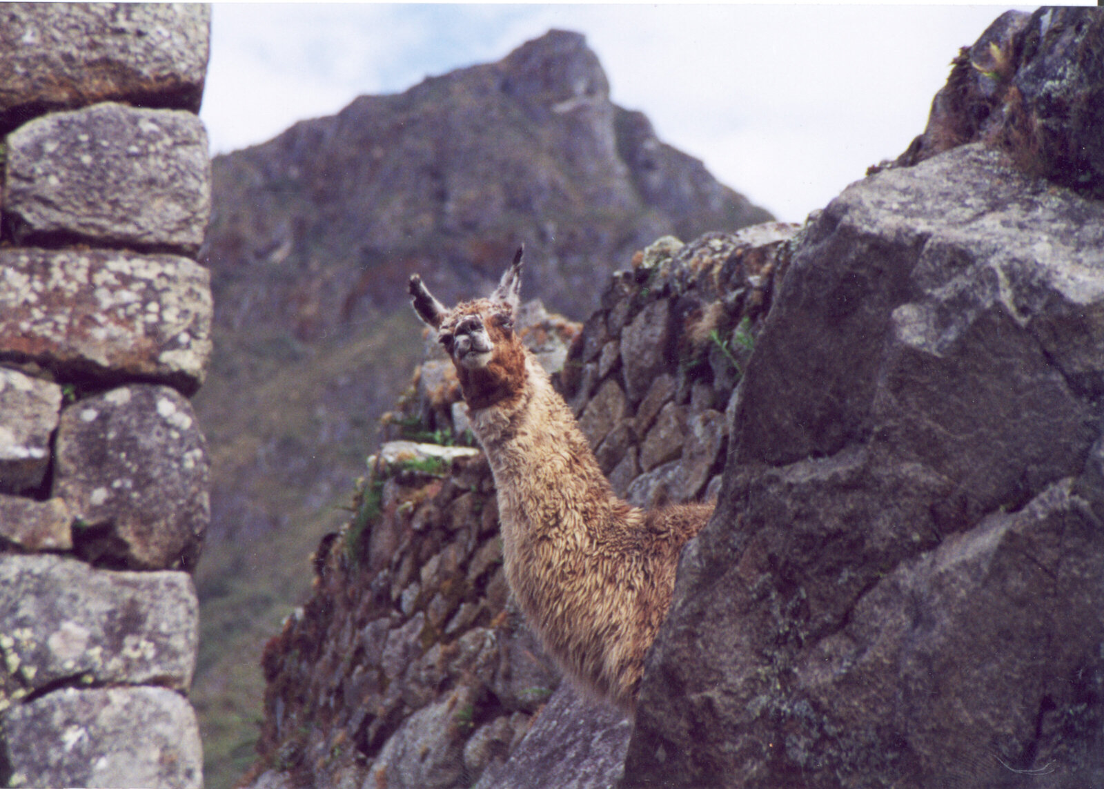 AngelaGarbotPhotography.GalapagosArt.5x7-2-ShowIt