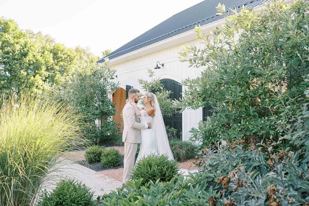 Beautiful bride and groom phtoography