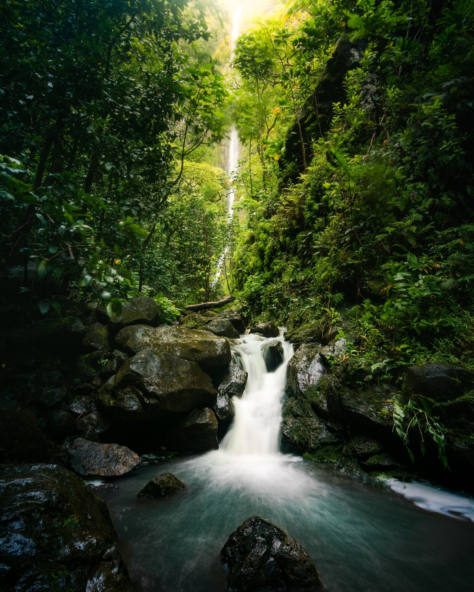 peter-vanosdall-jhFabt6zfuI-unsplash