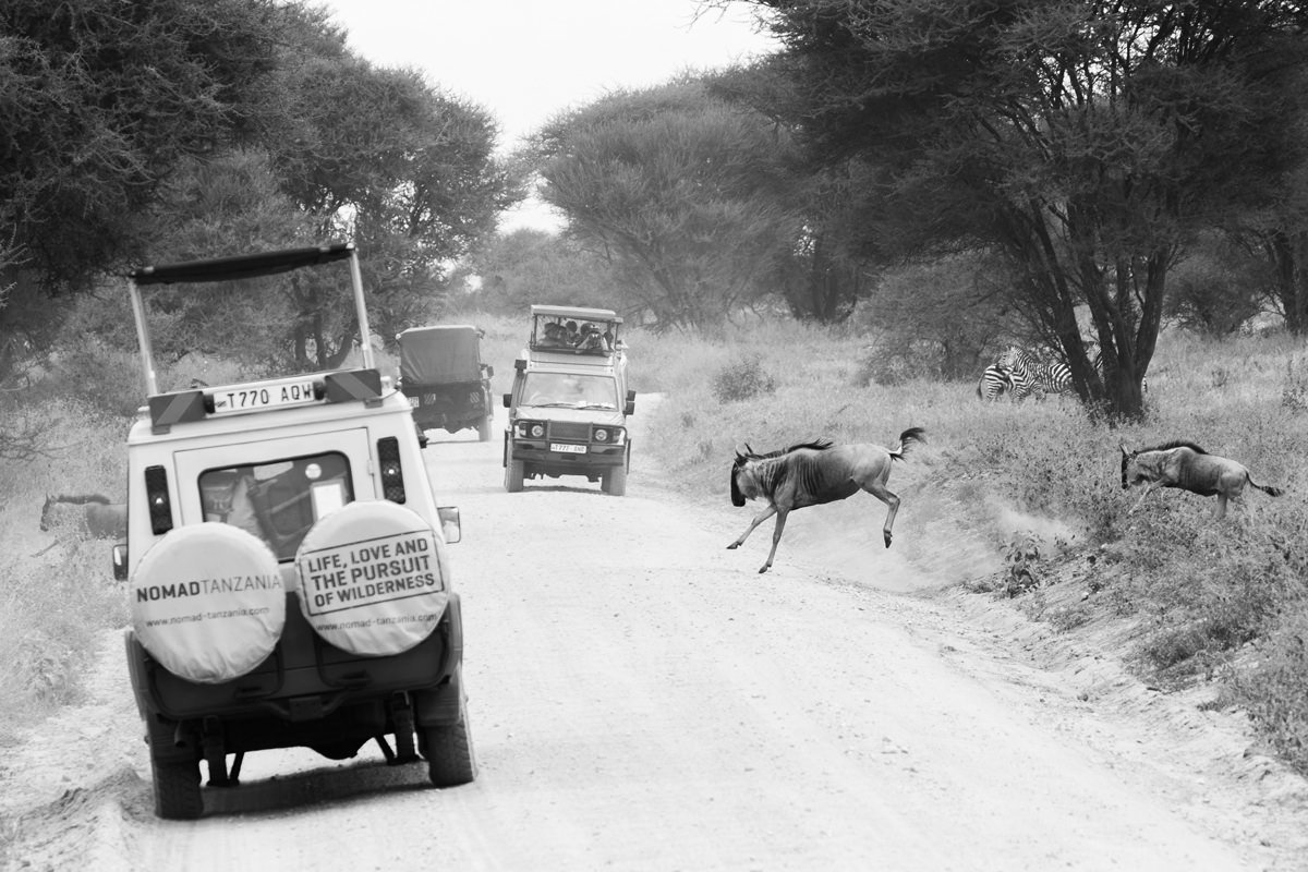 cameron-zegers-travel-photographer-tanzania-safari