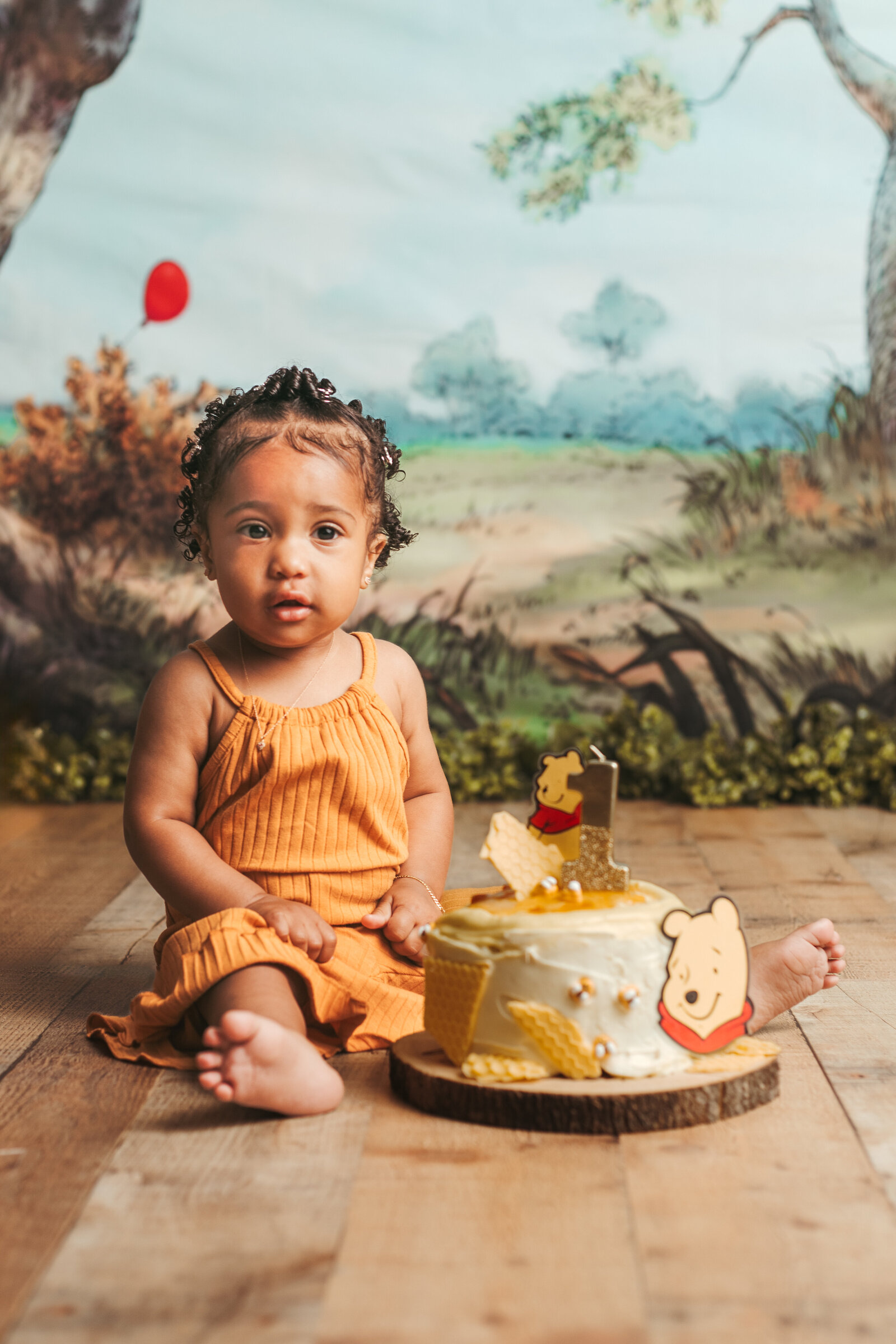 Martina Newport Photography - Michiah Risby - Emory's Winnie the Pooh cake smash-37