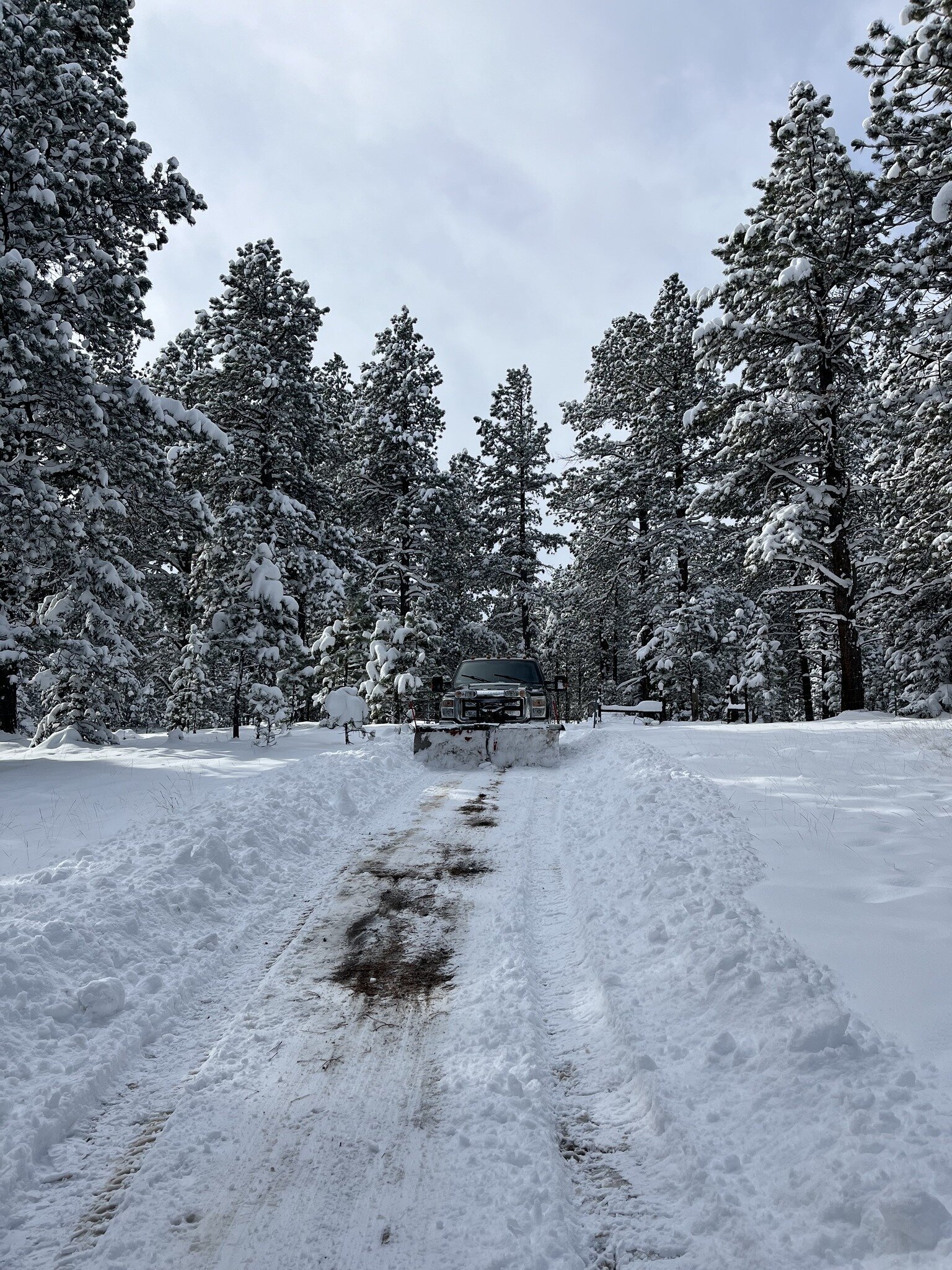 511891282_122093892548930293_6993921331063314314_n