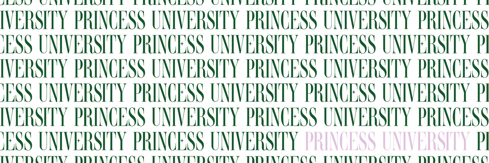 Paige-Firnberg-Design-Our-Work-Portfolio-Princess-University7