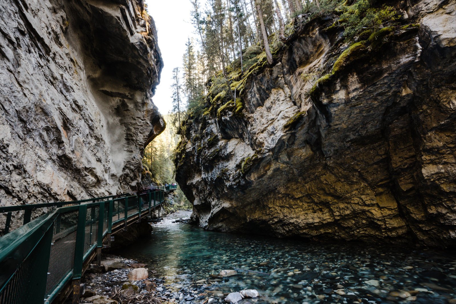 Banff_Jasper_National_Park_Sasha_Reiko_Photography-13