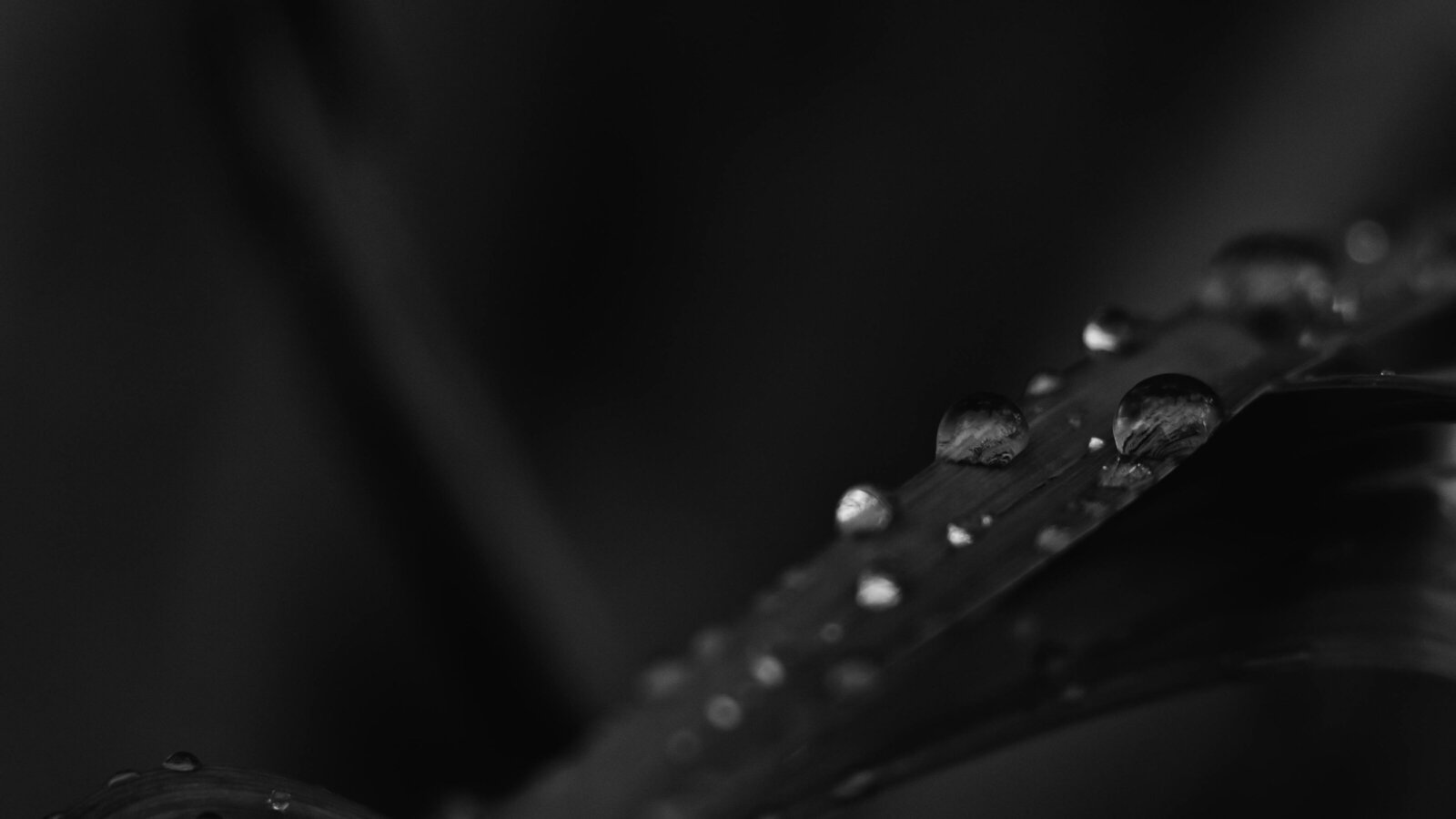 pexels-matej-117839-1158394