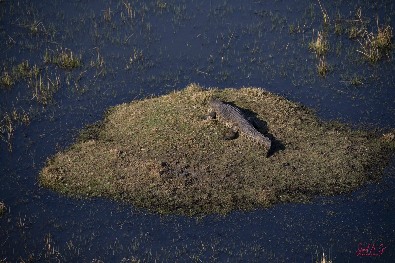 2019 Crock (2)