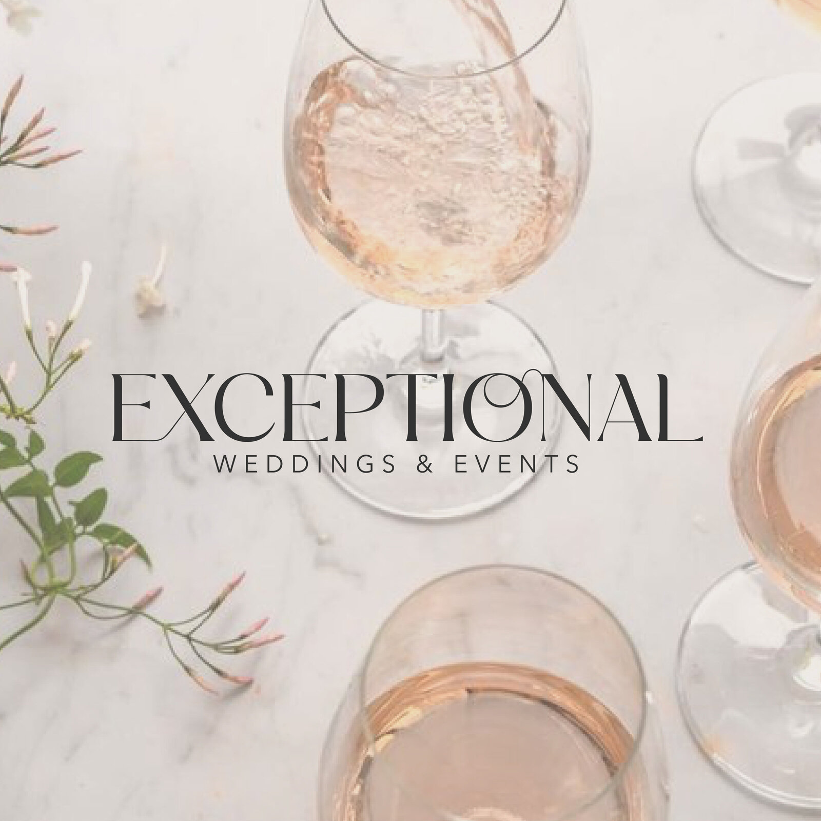 Exceptional_bestanden_Exceptional_Hoofdlogo