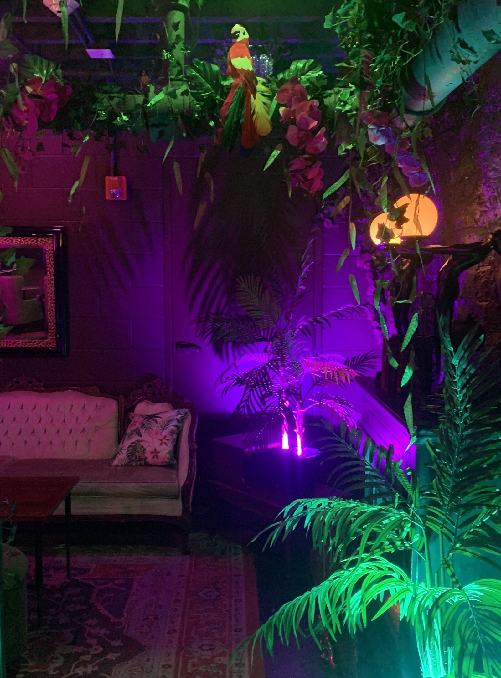 Tropical decor cropped
